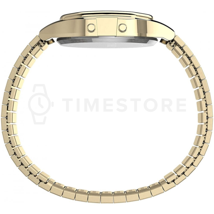 Timex T80