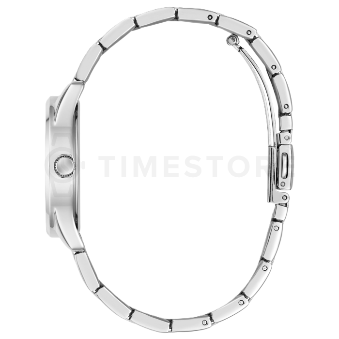 Guess Celestial G