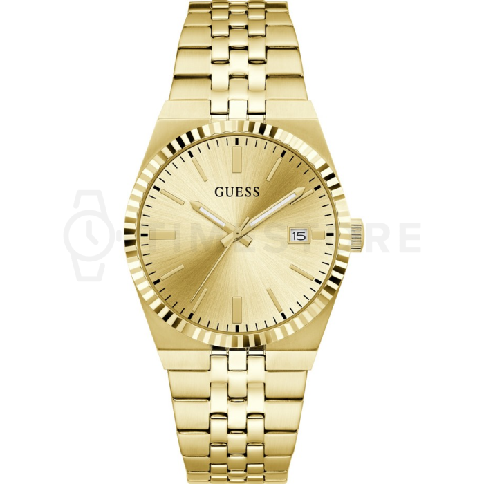 Guess Vincent