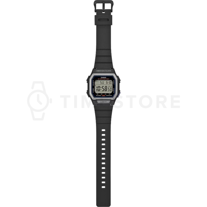 Casio Timeless