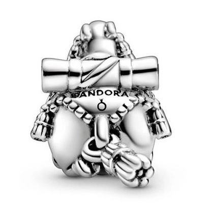 Charm Pandora Moments