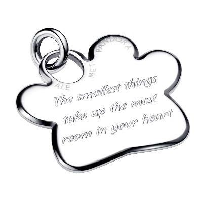 Obesek Pandora Moments