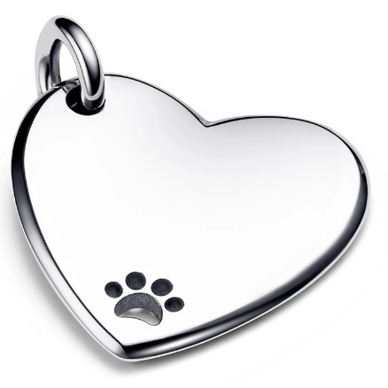 Colgante Pandora Moments