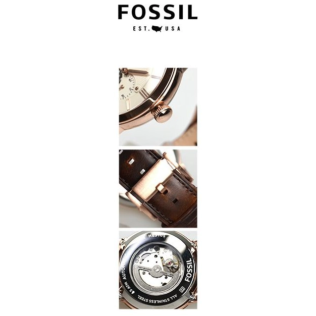 Fossil Townsman