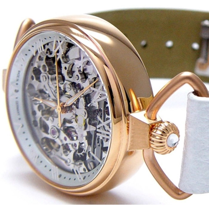 Zeppelin Princess Of The Sky