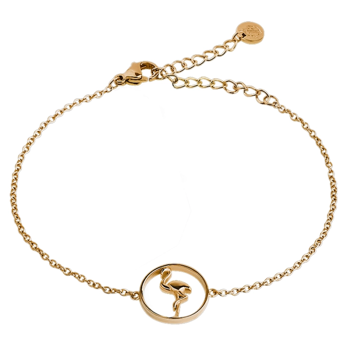 Paul Hewitt Tropicool