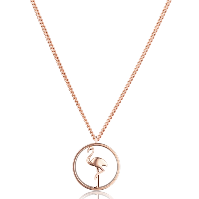 Paul Hewitt Tropicool