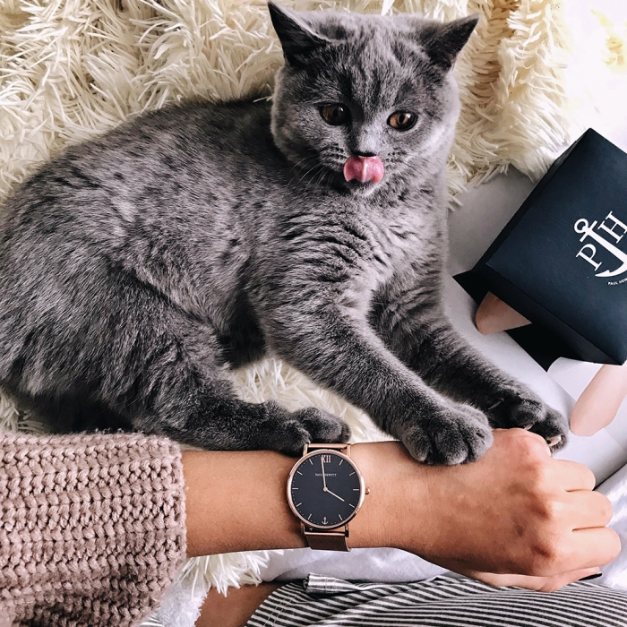 Paul Hewitt  Sailor