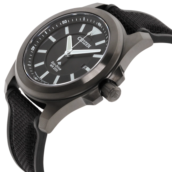 Citizen Promaster