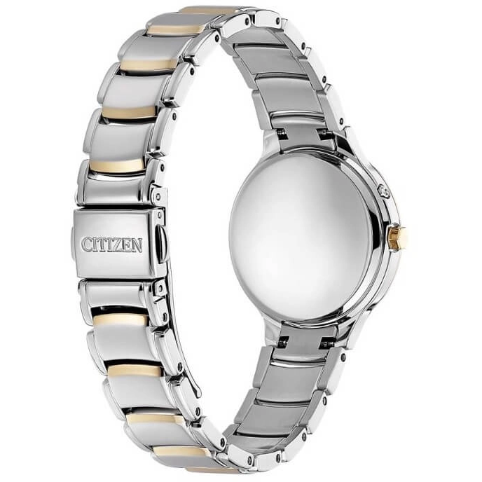 Citizen Radio Controlled