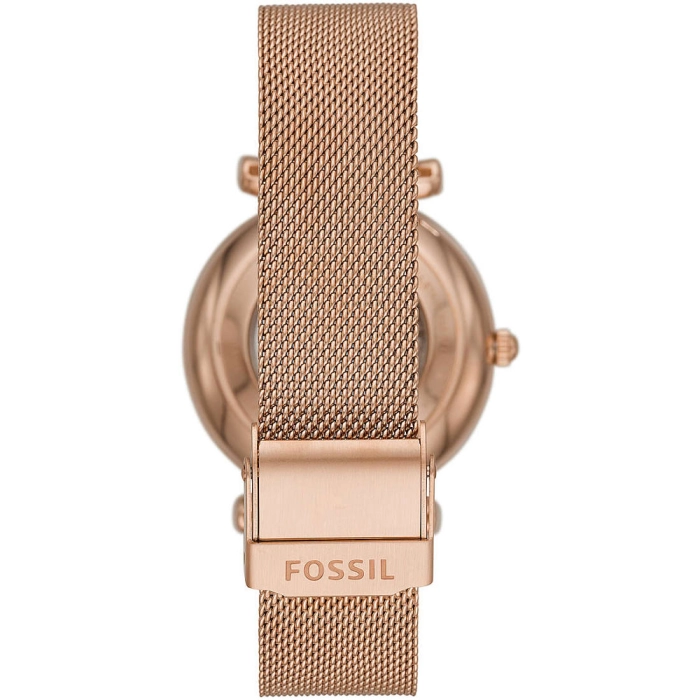 Fossil Carlie