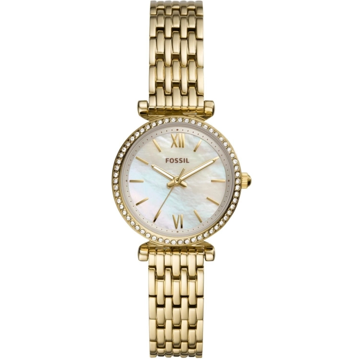 Fossil Carlie