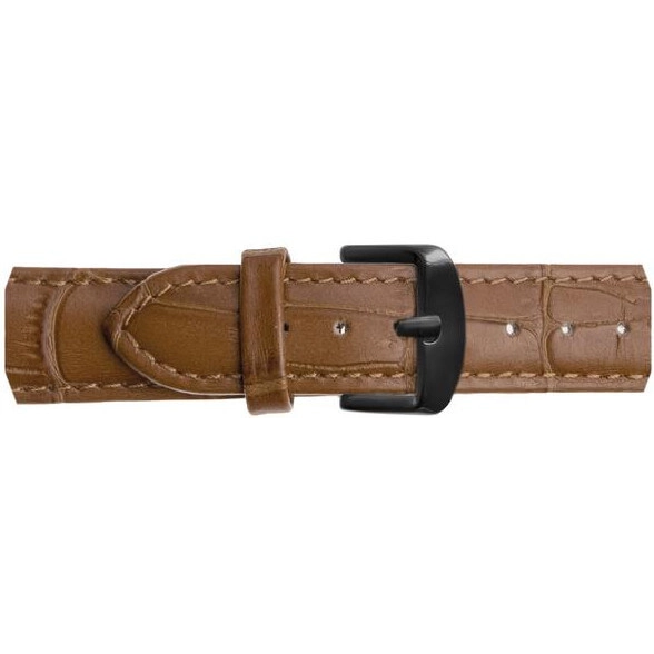 Emily Westwood Dragonfly