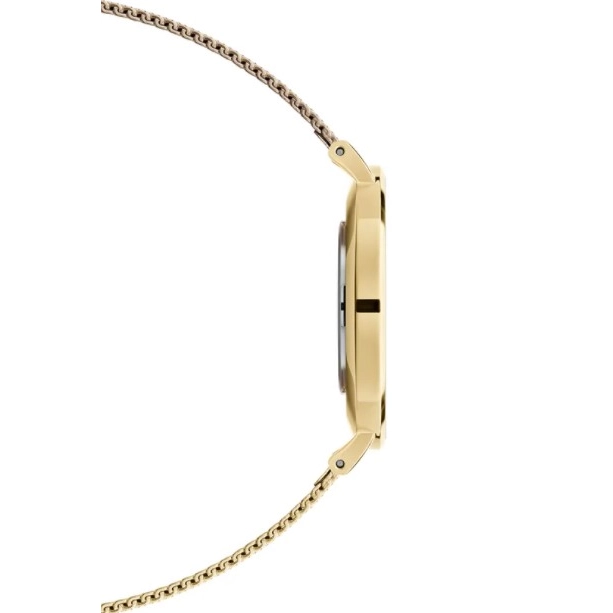 Daniel Wellington Petite Evergold 36