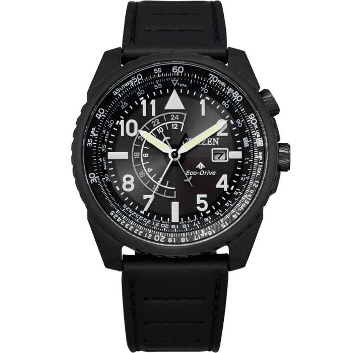Citizen Promaster