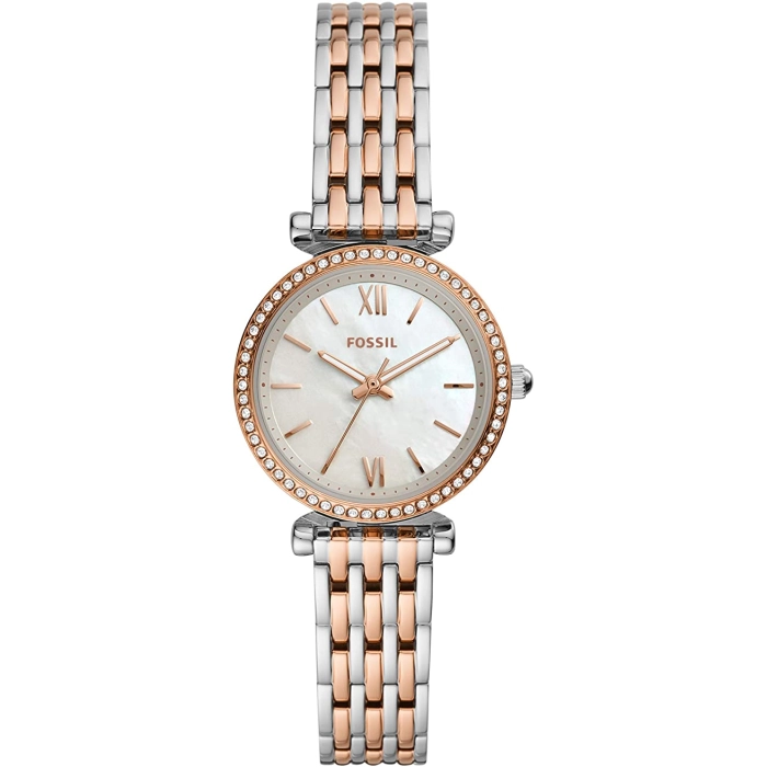 Fossil Carlie