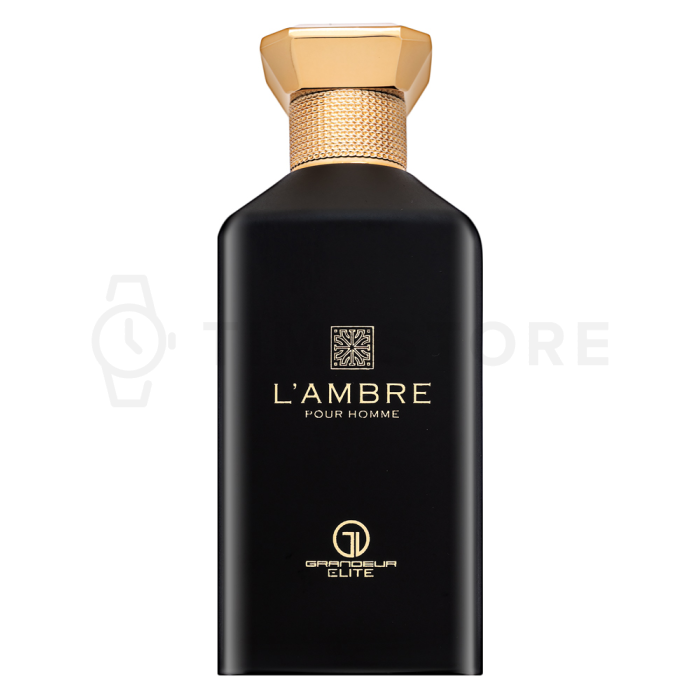 Grandeur L'Ambre parfémovaná voda pre mužov 100 ml