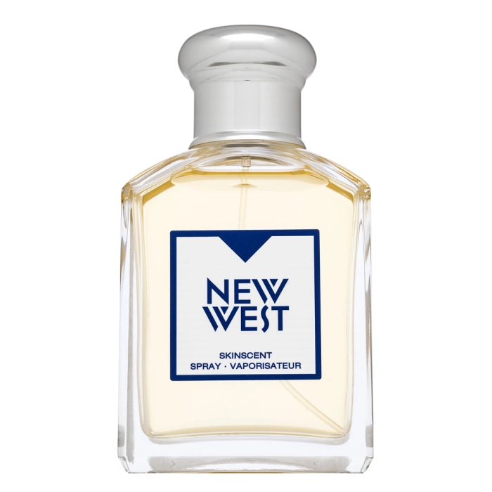 Aramis New West Eau de Toilette da uomo 100 ml