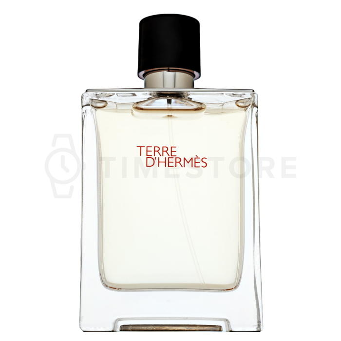 Hermès Terre D'Hermes Eau de Toilette bărbați 100 ml
