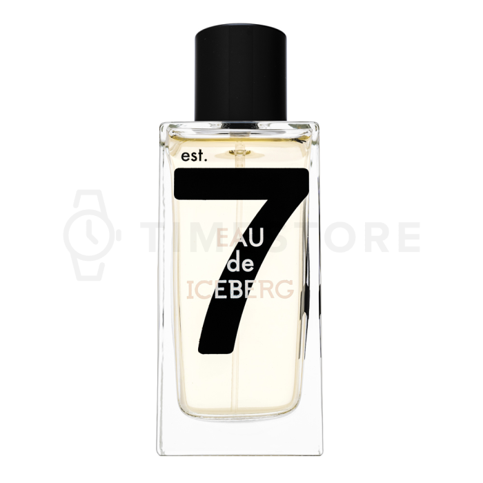 Iceberg Eau de Iceberg 74 Pour Homme woda toaletowa dla mężczyzn 100 ml