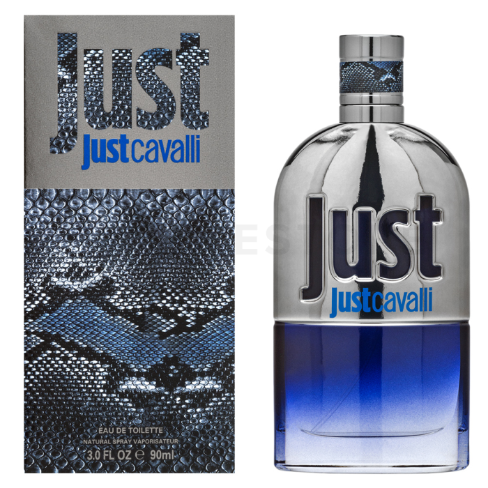 Roberto Cavalli Just Cavalli Him 2013 toaletná voda pre mužov 90 ml