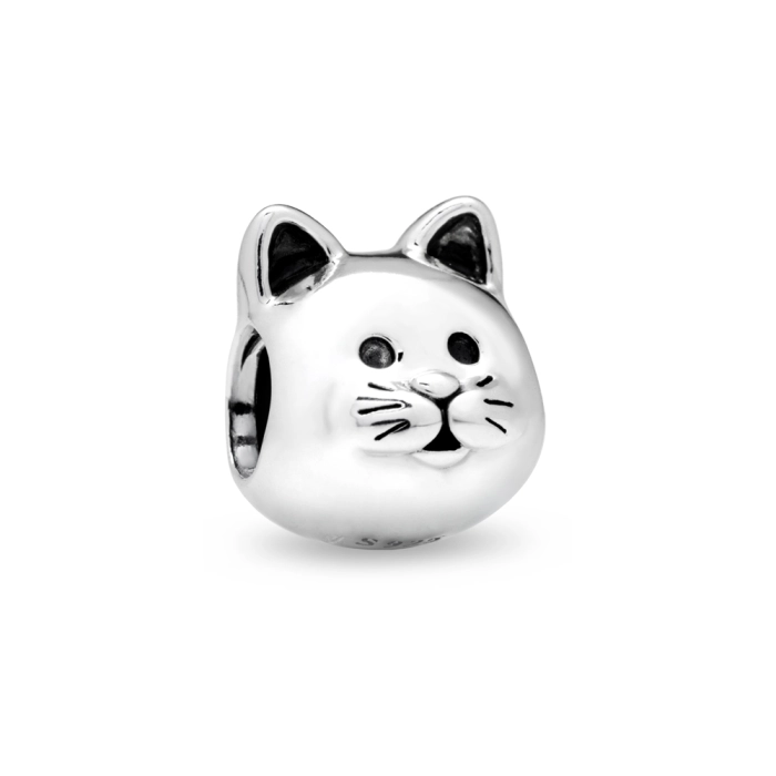 Charm Pandora Moments