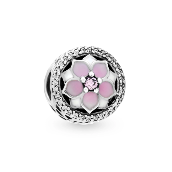 Charm Pandora Moments